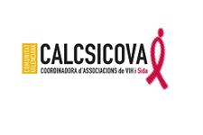 Dinamizadora de voluntariado / dinamizador de voluntariado